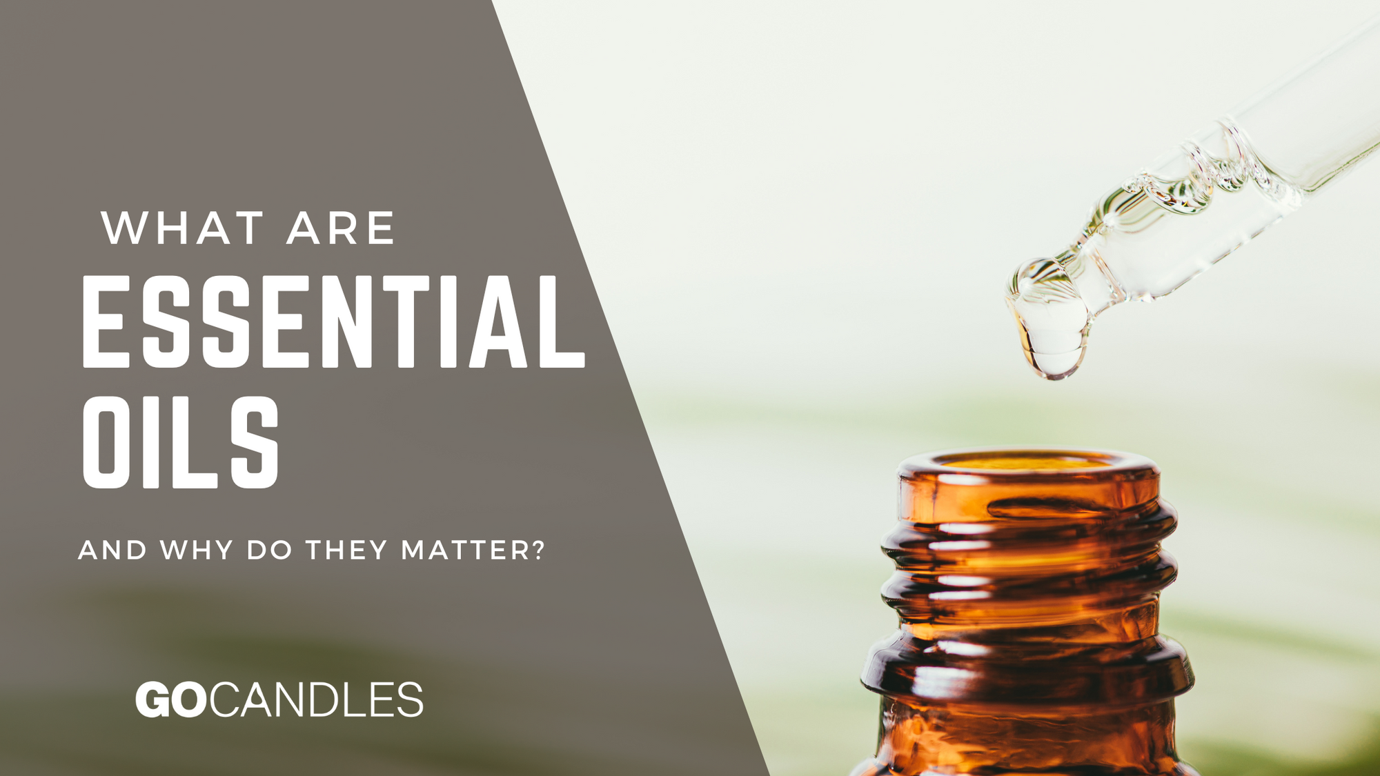 What Are Essential Oils - and Why Do They Matter?
