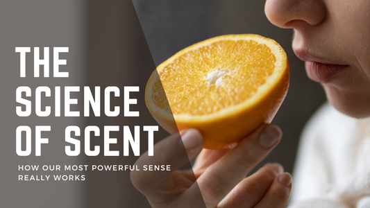The Science of How Scent Really Works